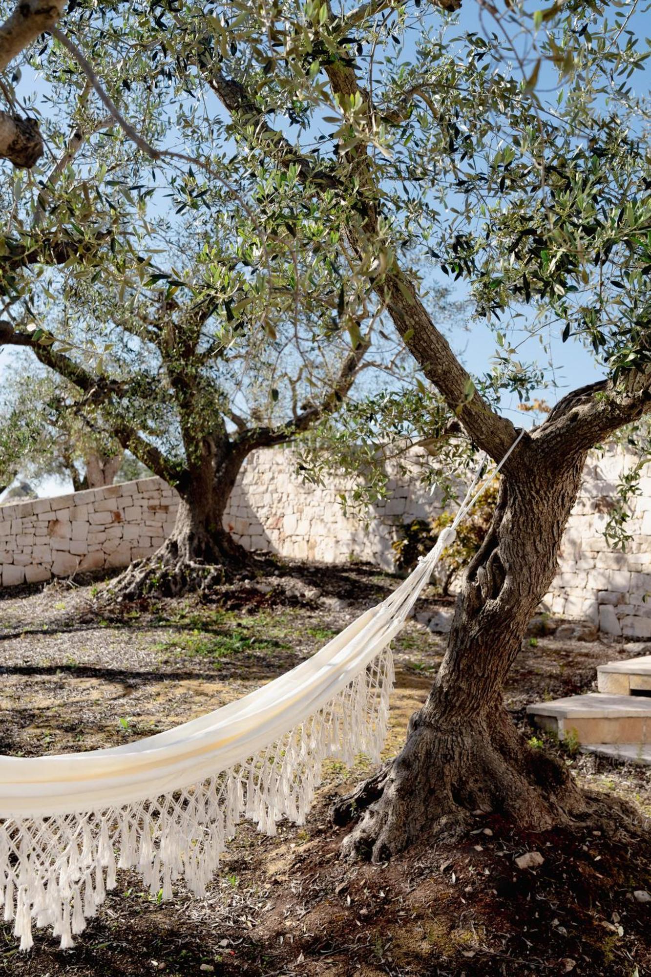Вилла Trullo Zaira Альберобелло Экстерьер фото